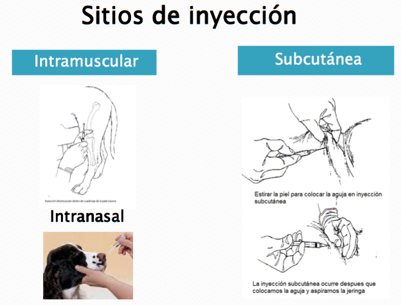 Imagen de referencia de comunicación social