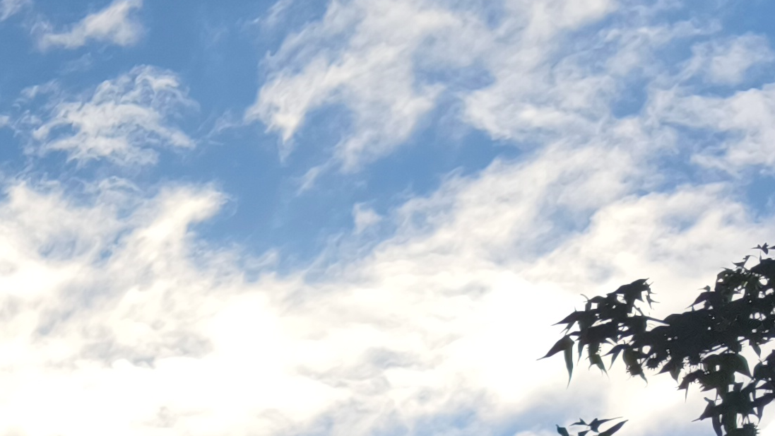 Imagen de referencia de De psicopatía y otros problemas