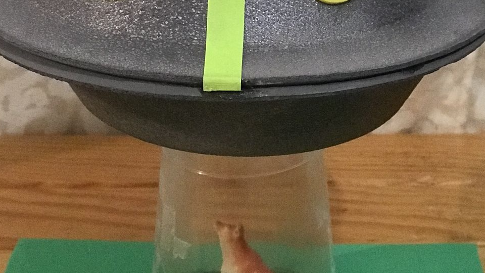 Imagen de referencia de Cultura de Bogota