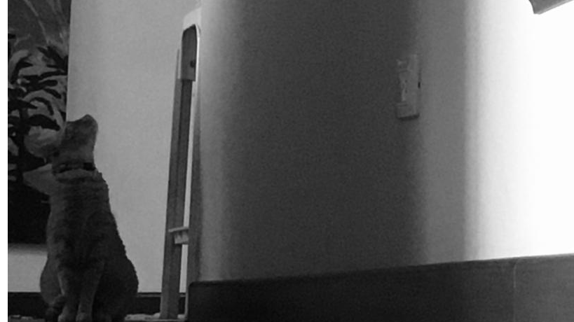 Imagen de referencia de Libros tristes para tardes tristes