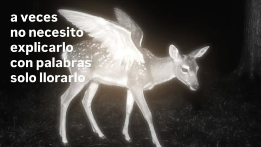 Imagen de referencia de SiMiSol