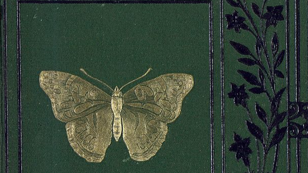 Imagen de referencia de BUSINESS