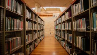 Estantes de biblioteca repletos de libros se alinean a ambos lados de un amplio pasillo de madera. Los estantes son altos y están abarrotados de libros diversos, con el lomo hacia afuera. El suelo es de madera pulida y la iluminación es cálida, provenient