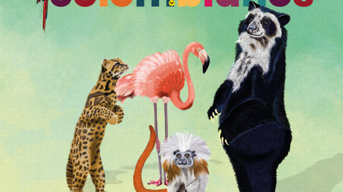 Portada del libro "animales colombianos". Muestra una ilustración de cuatro animales y un ave sobre un fondo verde suave. De izquierda a derecha: un ocelote, un flamenco, un mono y un oso de anteojos.