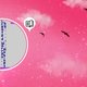 Un cielo rosa vibrante con nubes esponjosas y pájaros volando. Un recuadro circular muestra texto azul vertical sobre fondo gris, junto a un icono de libro.