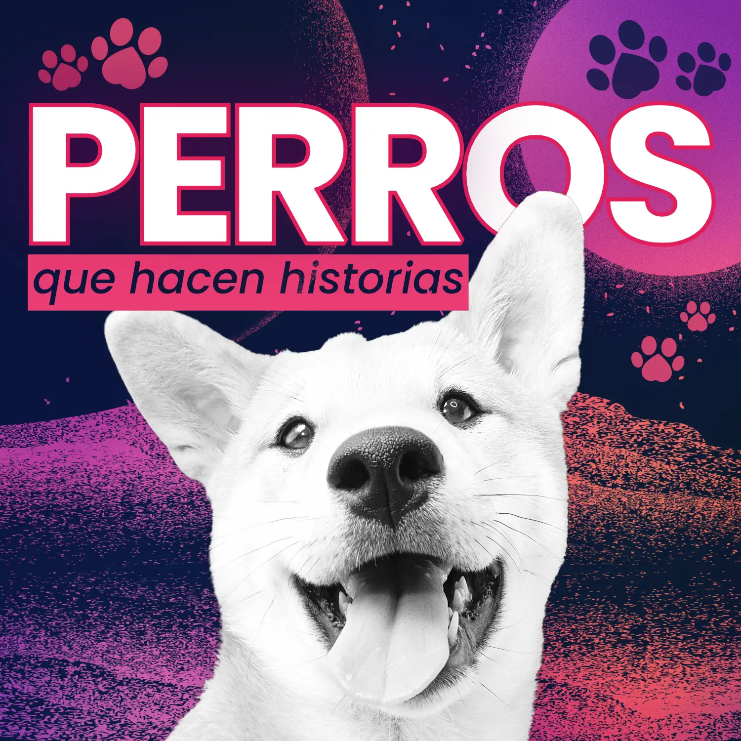 Coleccion4_Perrros_historia