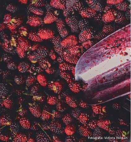 Vista detallada de un montón de frutos rojos, destacando su textura jugosa y su color rojo brillante, con hojas verdes asomando.
