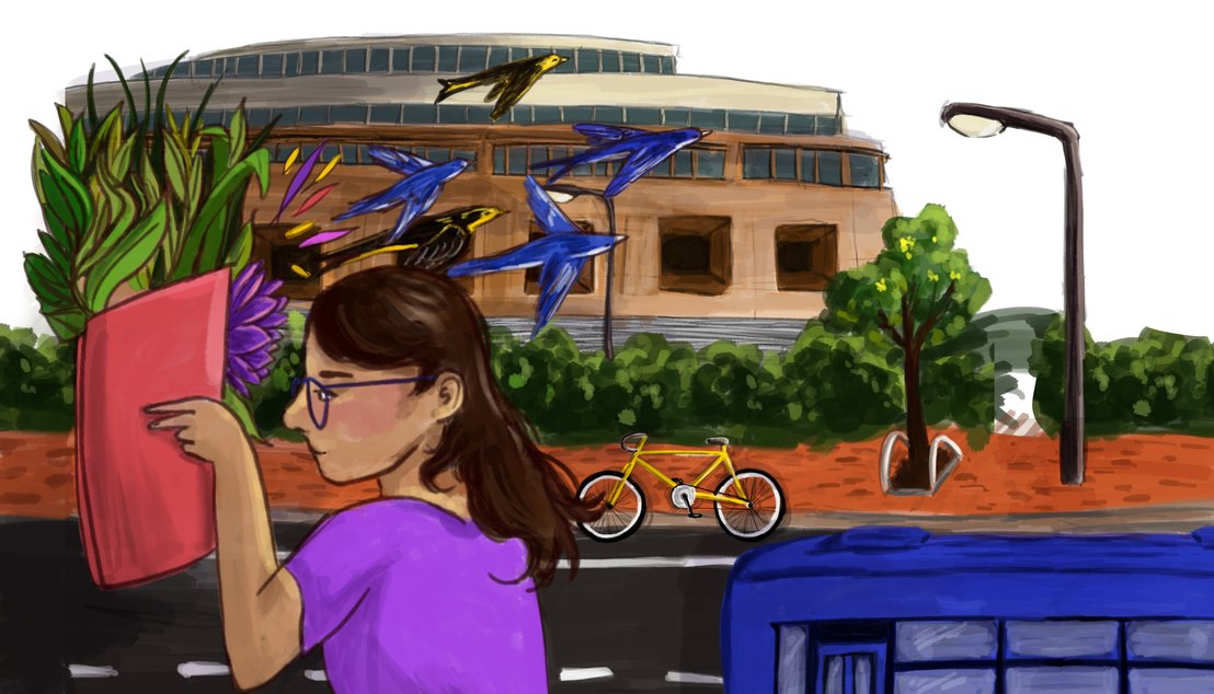Ilustracion de una mujer leyendo, y de su libro salen pajaros azules volando que llevan la mirada a la biblioteca publica Virgilio Barco.