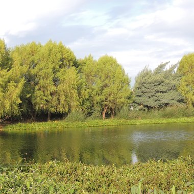 Fotografía del humedal La Vaca compuesta por un cuerpo de agua y vegetación