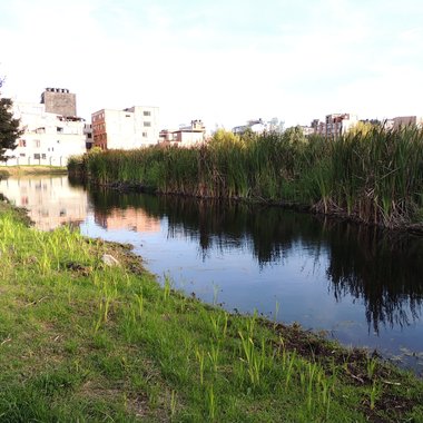 Fotografía del humedal de Techo compuesta por un cuerpo de agua y edificios al fondo
