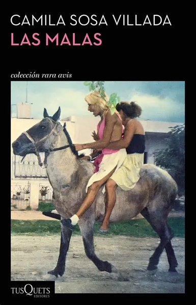 Portada_del_texto_las_malas_de_Camila_Sosa_V.max-800x600