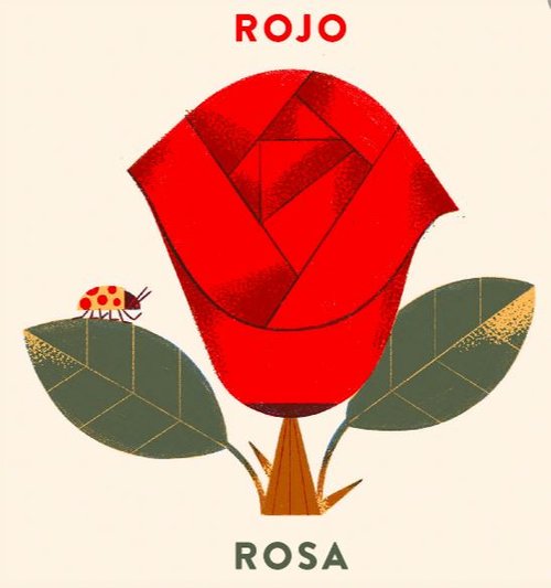 Rosa color rojo