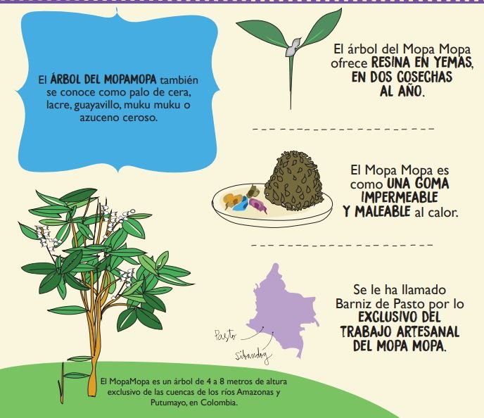 Parte de infografía del procesos del mopa mopa