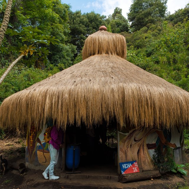 Santuario natural en el barrio La Toma, Suba: territorio sagrado muisca.