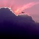 Cielo de Bogotá con una nube  y un avión pequeño con tonalidades rosa y blanco