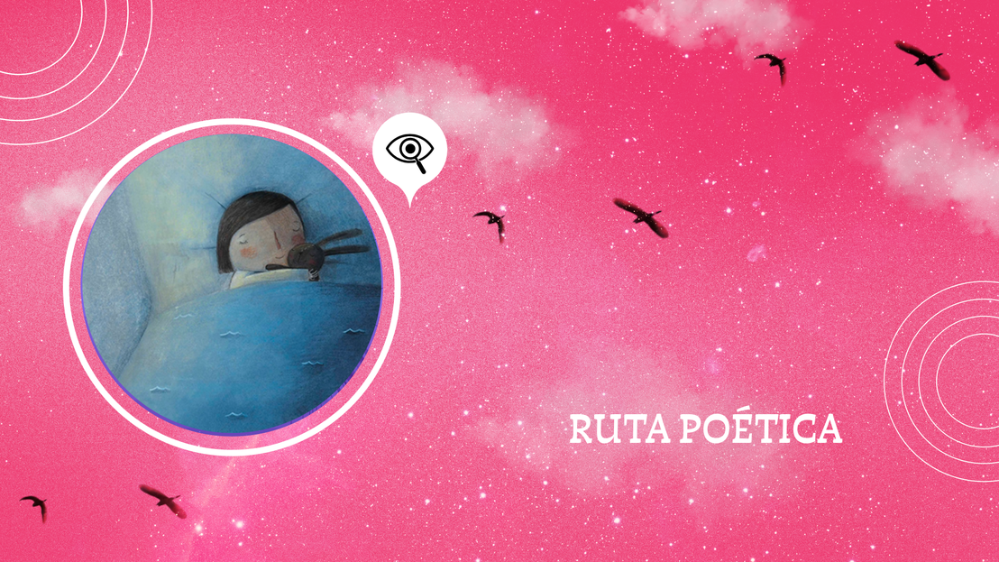 Portada rosada, con pajaron negros y una imagen circular de una niña acostada abrazando su peluche.