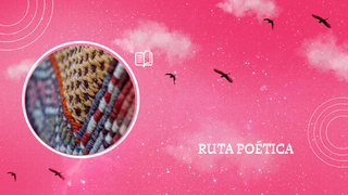 Fotografía de tejidos de diferentes colores