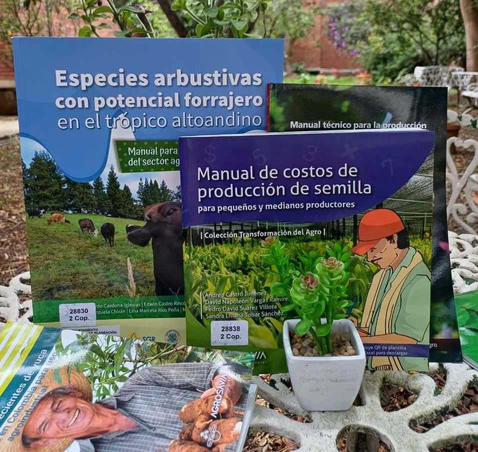 Imagen de referencia Manuales