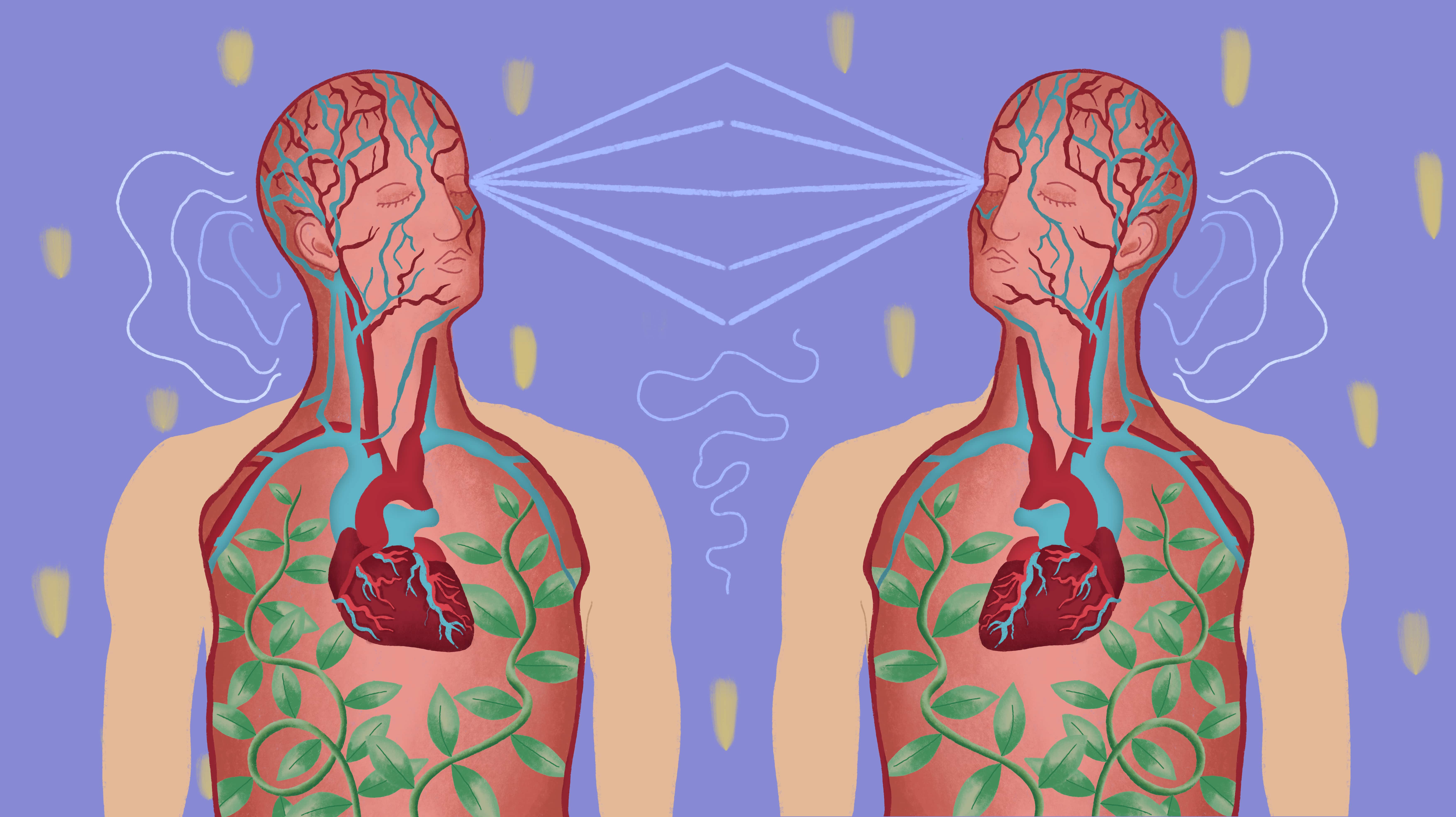  Imagen de referencia Cartografías del asombro. Un recorrido por la ciencia comunitaria en Bogotá
