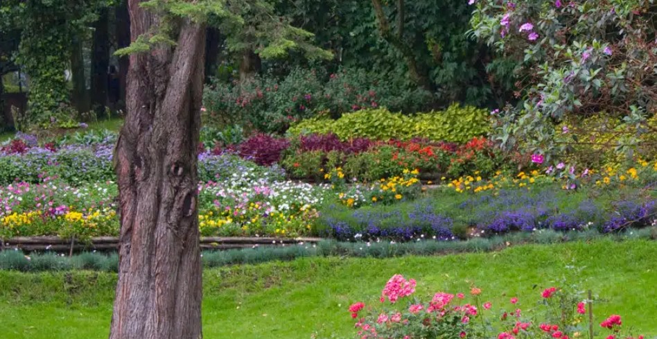  Imagen de referencia Departamento de Derecho del Medio Ambiente