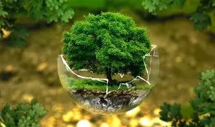  Imagen de referencia Maestría en Responsabilidad Social y Sostenibilidad