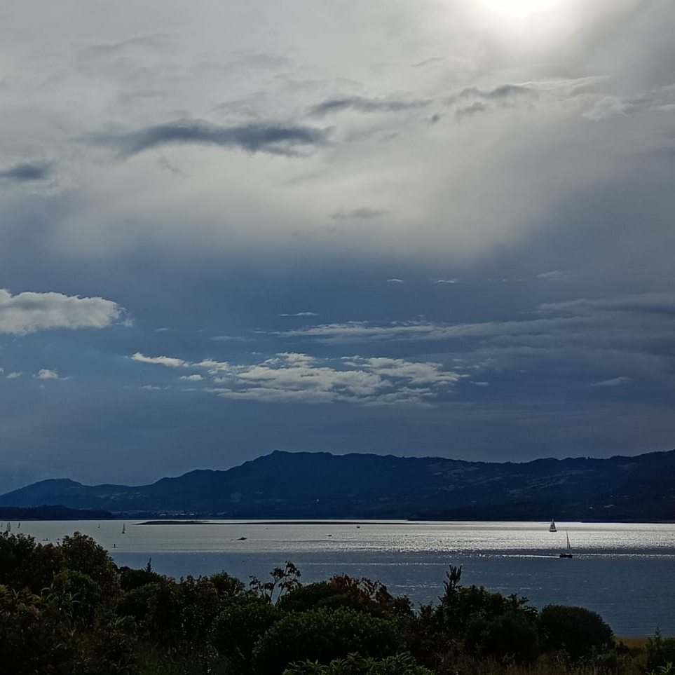 Avatar creador Yenni Carolina Galvis Moreno