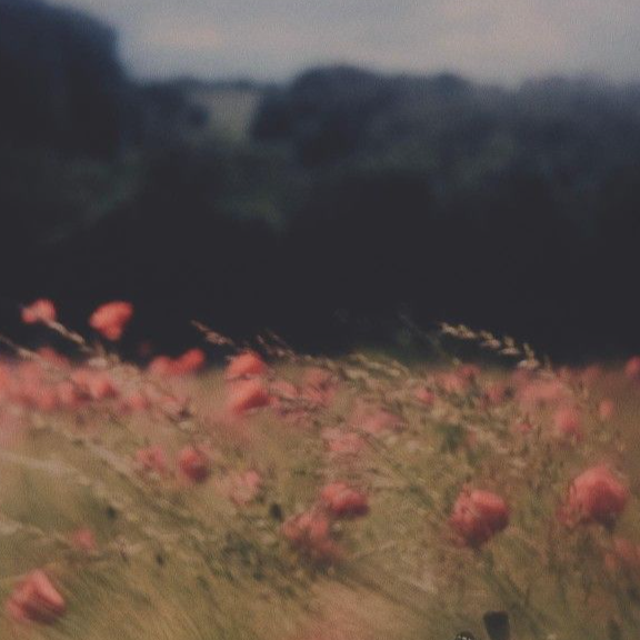 Avatar creador Lina Mariana Ortiz Tintinago