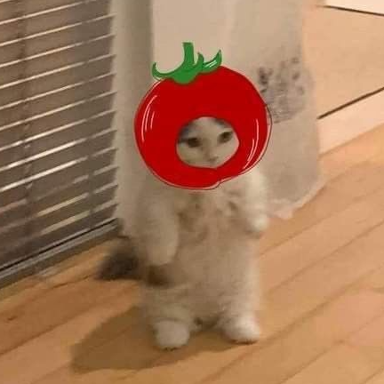 Avatar creador Wendy Katerin Ordoñez Galvira