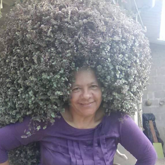 Avatar creador Natalia A Cotera Diaz