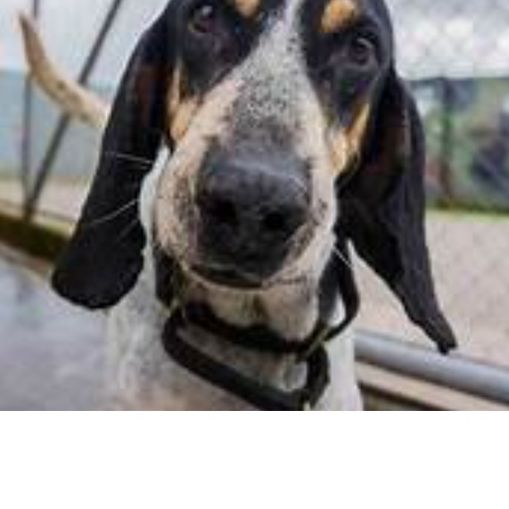 Avatar colaborador Dairo Andres Buelvas Diaz